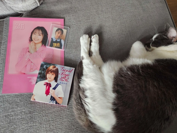 my hauls over time