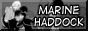 marine haddock