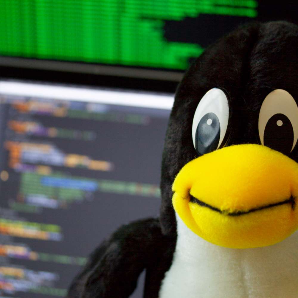 a happy looking plush toy of tux the linux mascot in front of a computer displaying code
