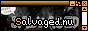salvaged dot nu
